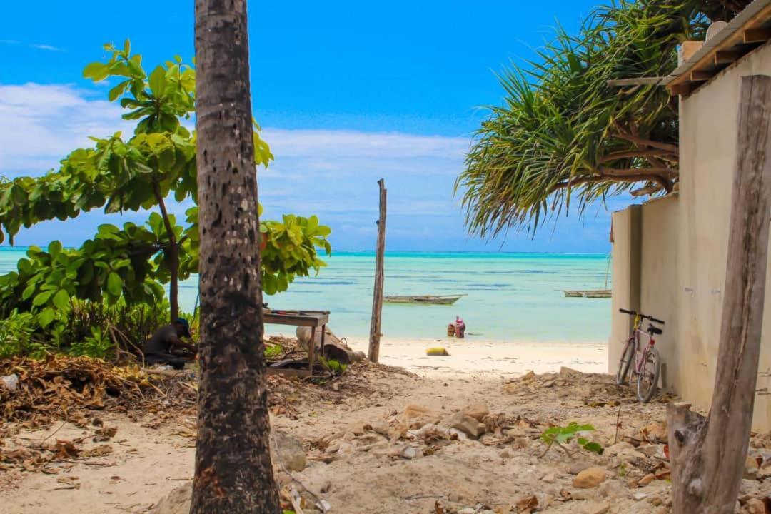 Pamoja Beach Stays Hotel In Jambiani Jambiani  Ngoại thất bức ảnh