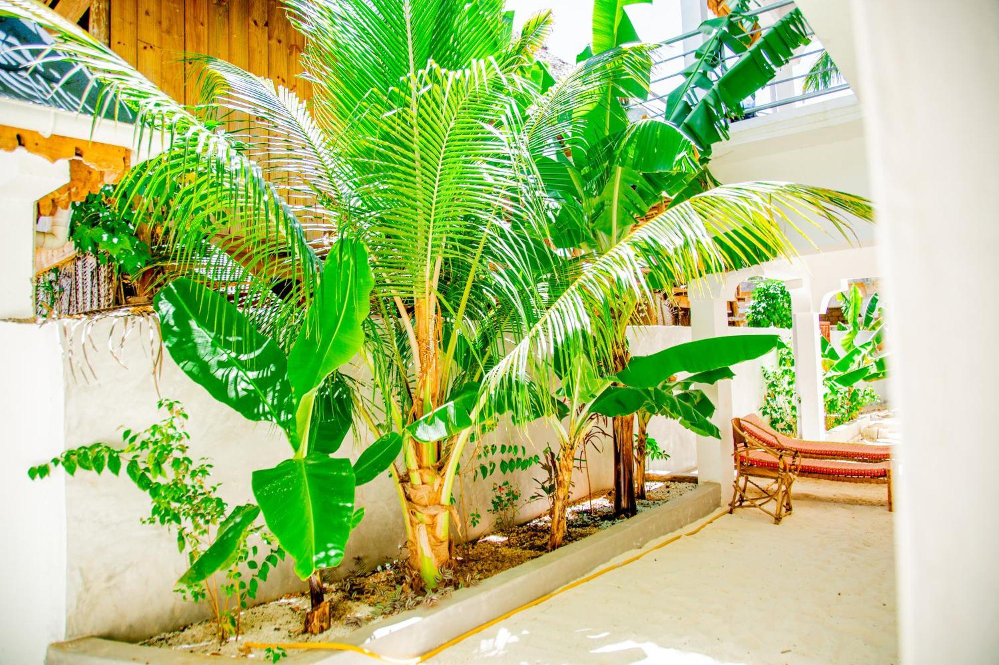Pamoja Beach Stays Hotel In Jambiani Jambiani  Ngoại thất bức ảnh